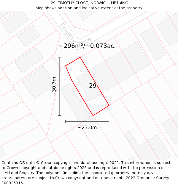 29, TIMOTHY CLOSE, NORWICH, NR1 4NG: Plot and title map