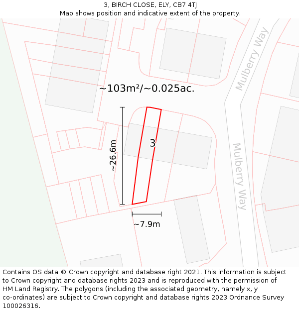3, BIRCH CLOSE, ELY, CB7 4TJ: Plot and title map