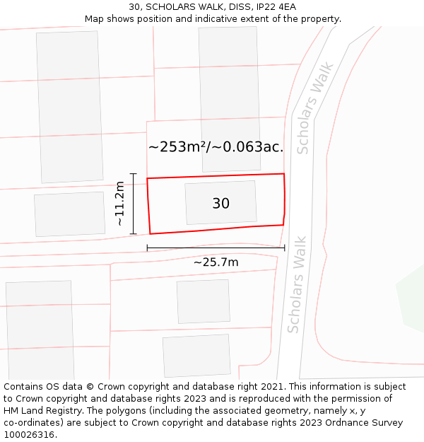 30, SCHOLARS WALK, DISS, IP22 4EA: Plot and title map