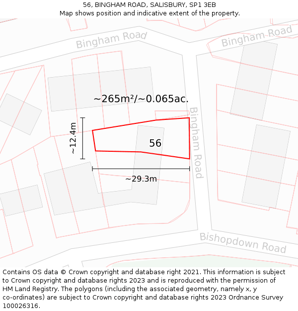 56, BINGHAM ROAD, SALISBURY, SP1 3EB: Plot and title map