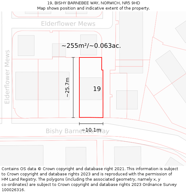 19, BISHY BARNEBEE WAY, NORWICH, NR5 9HD: Plot and title map