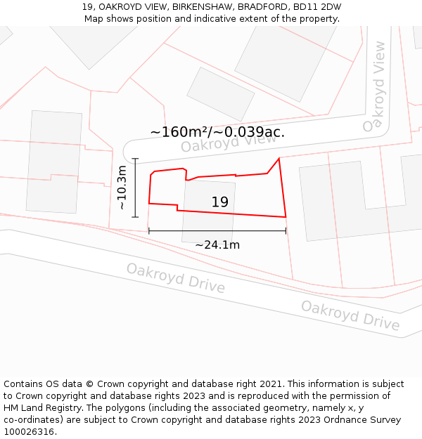 19, OAKROYD VIEW, BIRKENSHAW, BRADFORD, BD11 2DW: Plot and title map