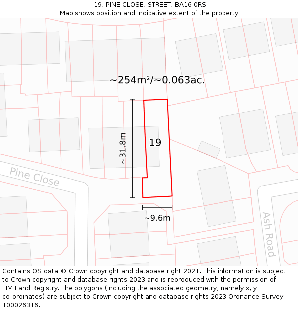 19, PINE CLOSE, STREET, BA16 0RS: Plot and title map