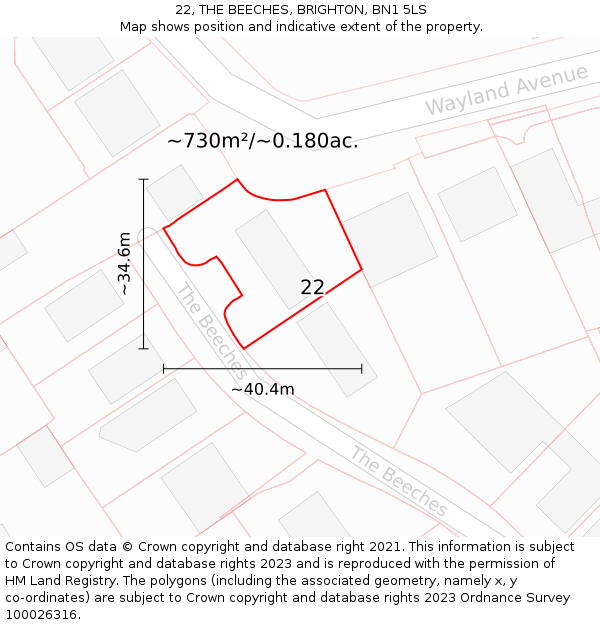22, THE BEECHES, BRIGHTON, BN1 5LS: Plot and title map