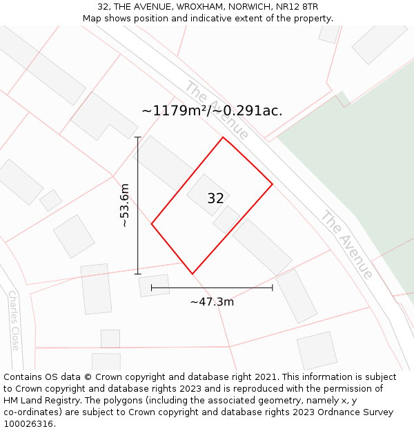 32, THE AVENUE, WROXHAM, NORWICH, NR12 8TR: Plot and title map