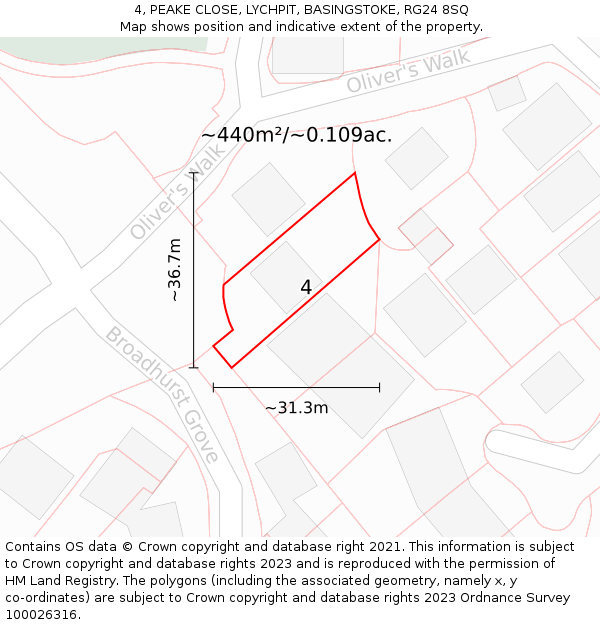 4, PEAKE CLOSE, LYCHPIT, BASINGSTOKE, RG24 8SQ: Plot and title map