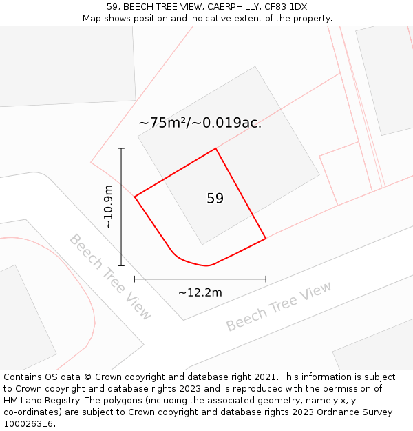 59, BEECH TREE VIEW, CAERPHILLY, CF83 1DX: Plot and title map