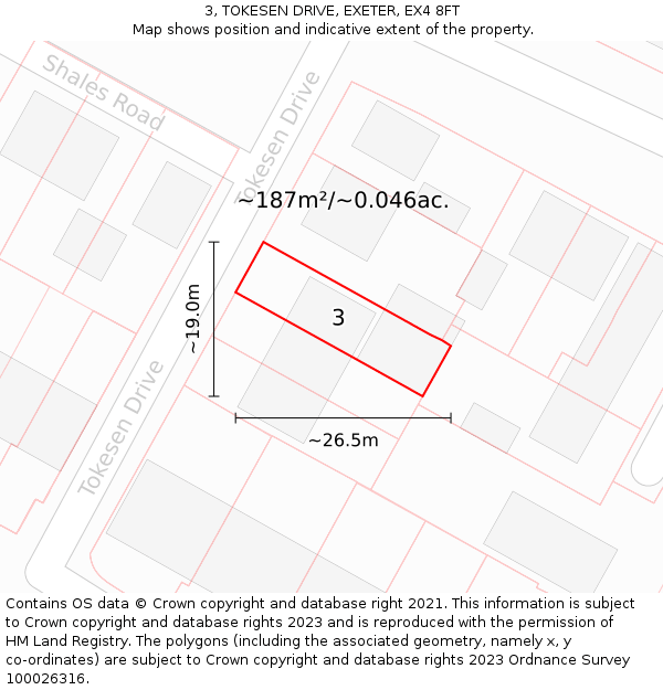 3, TOKESEN DRIVE, EXETER, EX4 8FT: Plot and title map