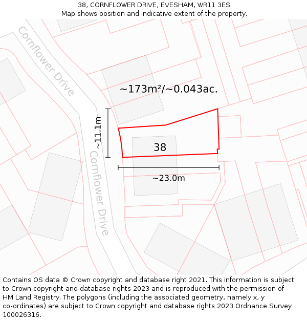 38, CORNFLOWER DRIVE, EVESHAM, WR11 3ES: Plot and title map