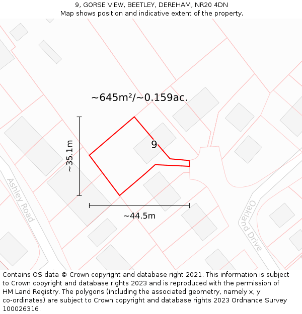 9, GORSE VIEW, BEETLEY, DEREHAM, NR20 4DN: Plot and title map