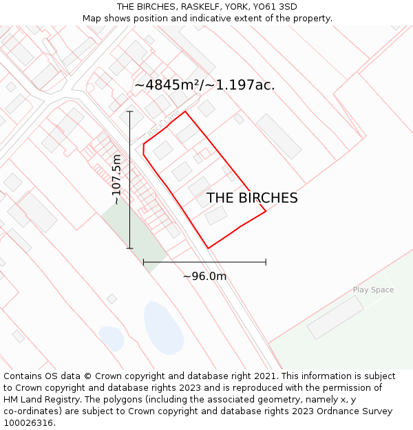 THE BIRCHES, RASKELF, YORK, YO61 3SD: Plot and title map