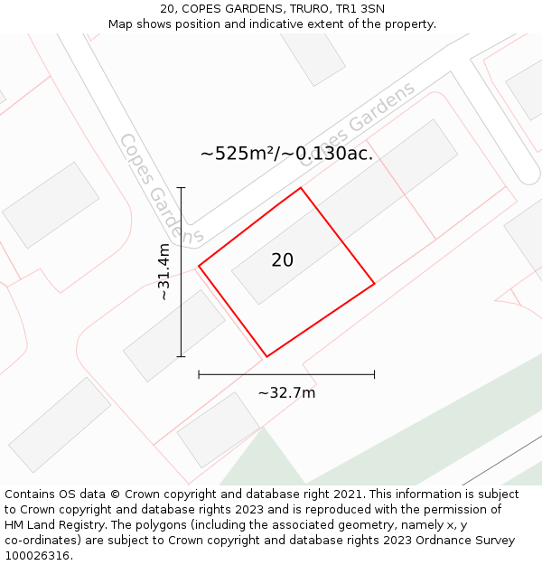 20, COPES GARDENS, TRURO, TR1 3SN: Plot and title map