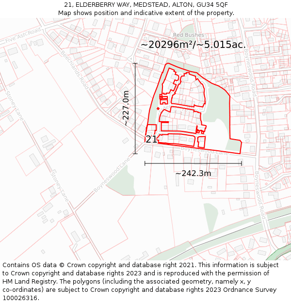 21, ELDERBERRY WAY, MEDSTEAD, ALTON, GU34 5QF: Plot and title map