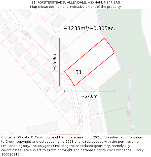 31, FORSTERSTEADS, ALLENDALE, HEXHAM, NE47 9AS: Plot and title map