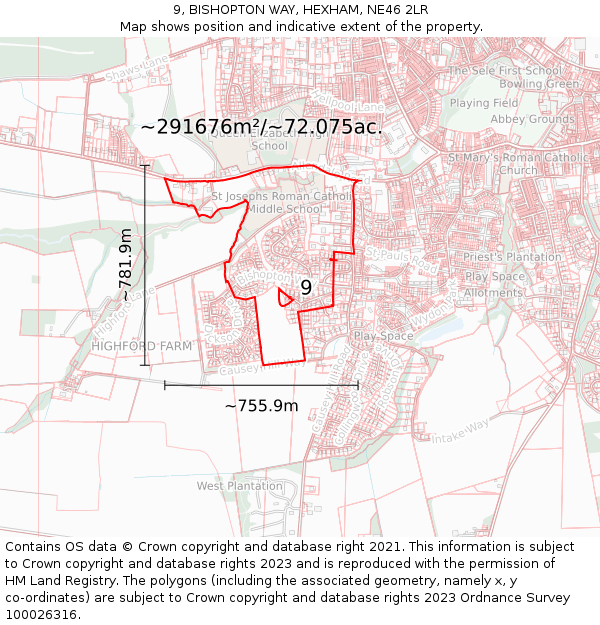 9, BISHOPTON WAY, HEXHAM, NE46 2LR: Plot and title map