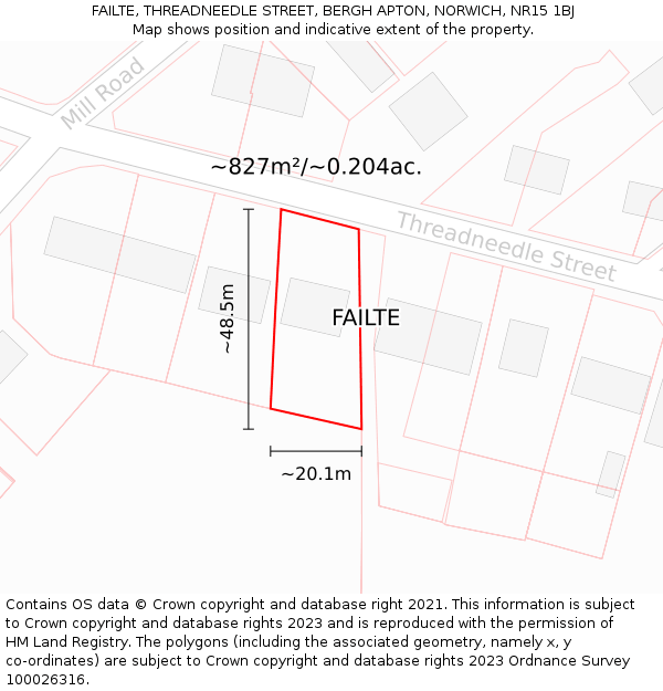 FAILTE, THREADNEEDLE STREET, BERGH APTON, NORWICH, NR15 1BJ: Plot and title map