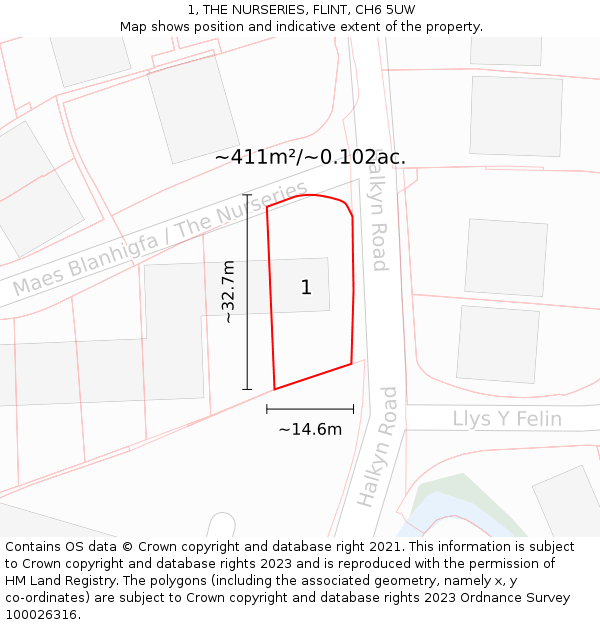 1, THE NURSERIES, FLINT, CH6 5UW: Plot and title map