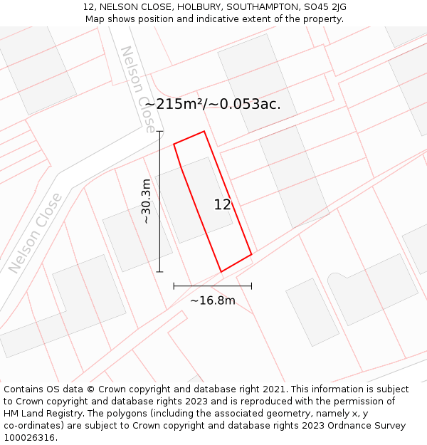12, NELSON CLOSE, HOLBURY, SOUTHAMPTON, SO45 2JG: Plot and title map