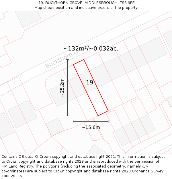 19, BUCKTHORN GROVE, MIDDLESBROUGH, TS8 9BF: Plot and title map