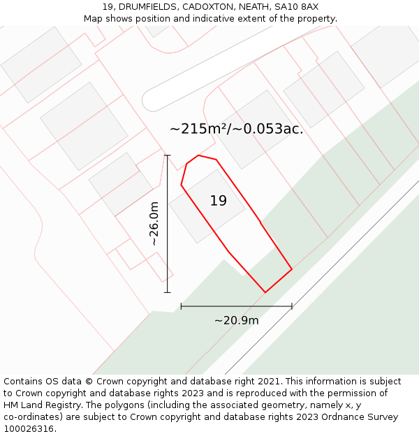 19, DRUMFIELDS, CADOXTON, NEATH, SA10 8AX: Plot and title map