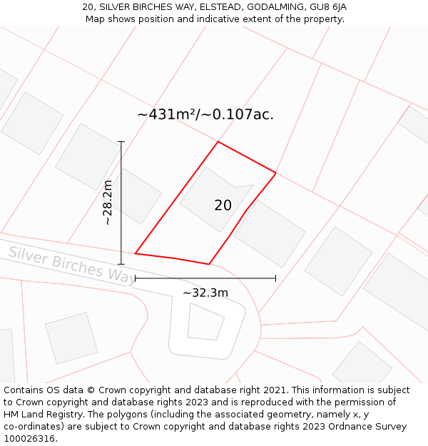 20, SILVER BIRCHES WAY, ELSTEAD, GODALMING, GU8 6JA: Plot and title map