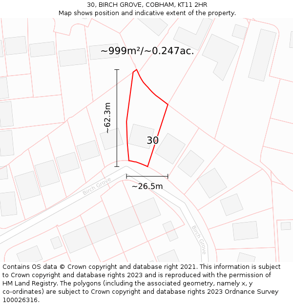 30, BIRCH GROVE, COBHAM, KT11 2HR: Plot and title map