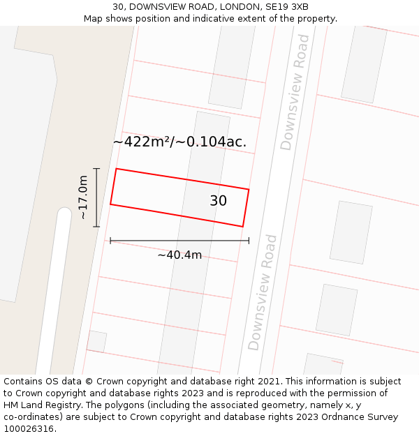 30, DOWNSVIEW ROAD, LONDON, SE19 3XB: Plot and title map