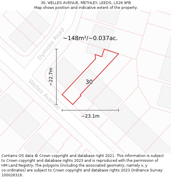 30, WELLES AVENUE, METHLEY, LEEDS, LS26 9FB: Plot and title map
