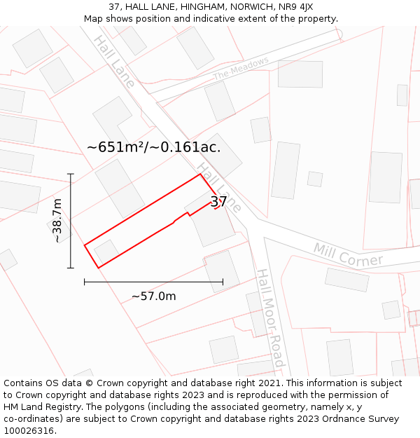 37, HALL LANE, HINGHAM, NORWICH, NR9 4JX: Plot and title map
