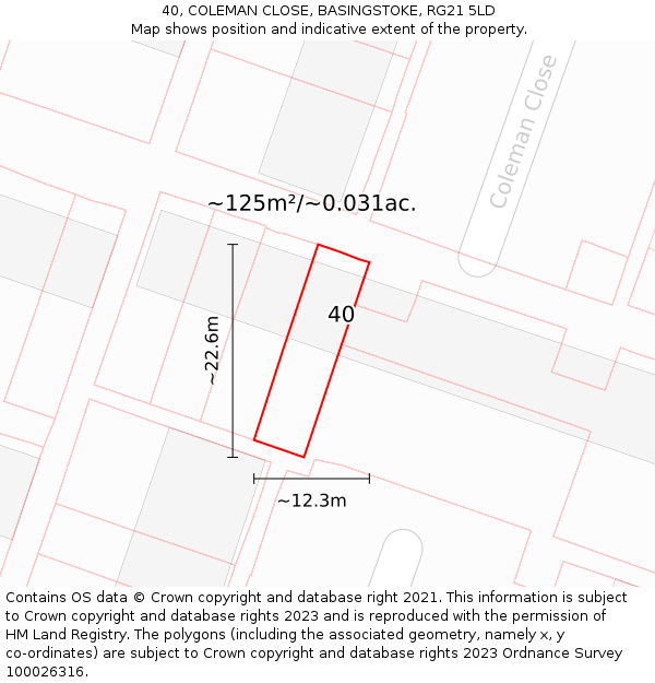 40, COLEMAN CLOSE, BASINGSTOKE, RG21 5LD: Plot and title map