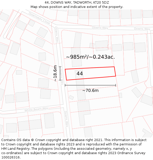 44, DOWNS WAY, TADWORTH, KT20 5DZ: Plot and title map