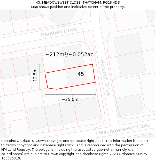 45, MEADOWSWEET CLOSE, THATCHAM, RG18 4DS: Plot and title map