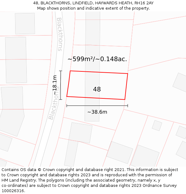 48, BLACKTHORNS, LINDFIELD, HAYWARDS HEATH, RH16 2AY: Plot and title map