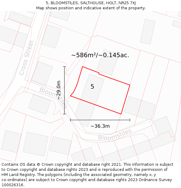 5, BLOOMSTILES, SALTHOUSE, HOLT, NR25 7XJ: Plot and title map