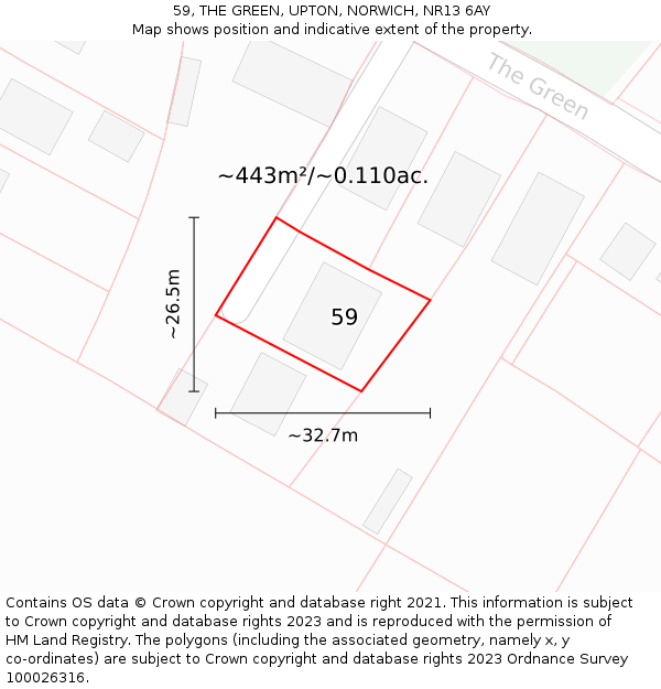 59, THE GREEN, UPTON, NORWICH, NR13 6AY: Plot and title map