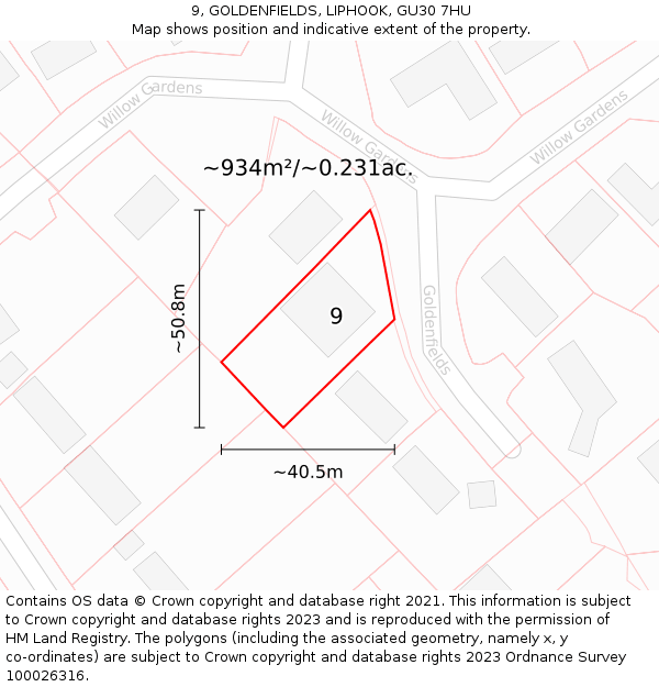 9, GOLDENFIELDS, LIPHOOK, GU30 7HU: Plot and title map