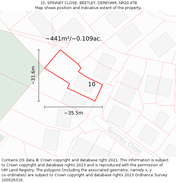 10, SPINNEY CLOSE, BEETLEY, DEREHAM, NR20 4TB: Plot and title map