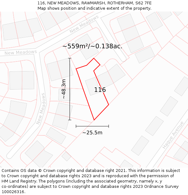 116, NEW MEADOWS, RAWMARSH, ROTHERHAM, S62 7FE: Plot and title map