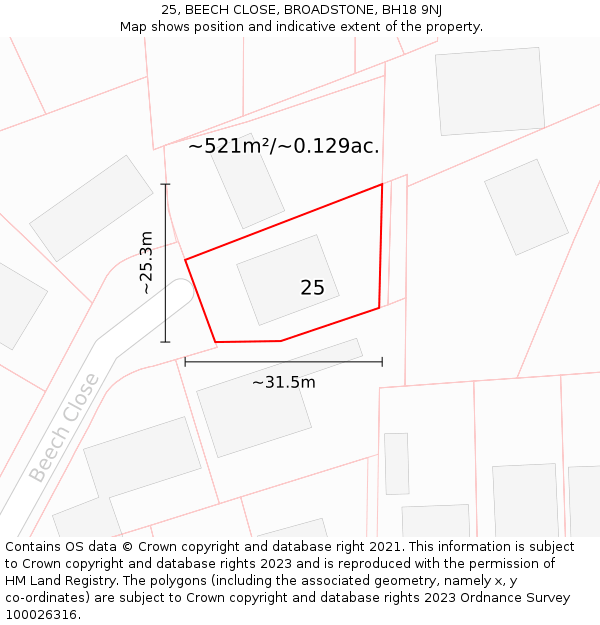 25, BEECH CLOSE, BROADSTONE, BH18 9NJ: Plot and title map