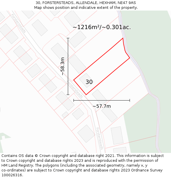 30, FORSTERSTEADS, ALLENDALE, HEXHAM, NE47 9AS: Plot and title map