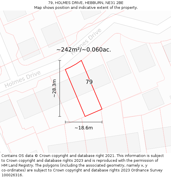 79, HOLMES DRIVE, HEBBURN, NE31 2BE: Plot and title map
