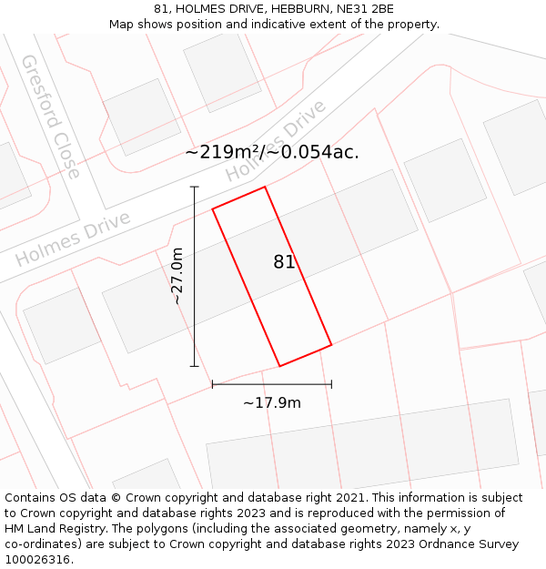 81, HOLMES DRIVE, HEBBURN, NE31 2BE: Plot and title map