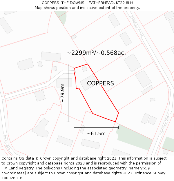 COPPERS, THE DOWNS, LEATHERHEAD, KT22 8LH: Plot and title map