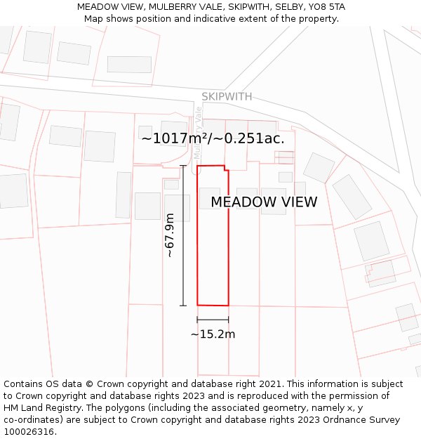 MEADOW VIEW, MULBERRY VALE, SKIPWITH, SELBY, YO8 5TA: Plot and title map
