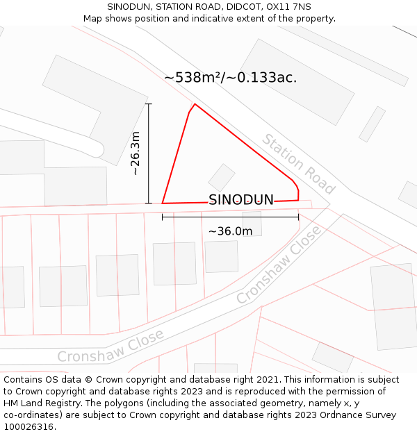 SINODUN, STATION ROAD, DIDCOT, OX11 7NS: Plot and title map