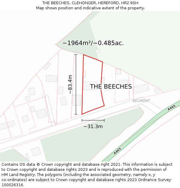 THE BEECHES, CLEHONGER, HEREFORD, HR2 9SH: Plot and title map