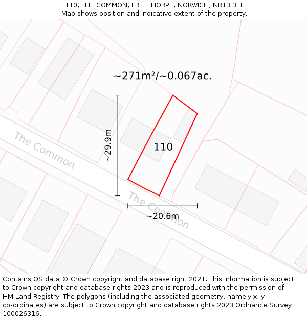 110, THE COMMON, FREETHORPE, NORWICH, NR13 3LT: Plot and title map