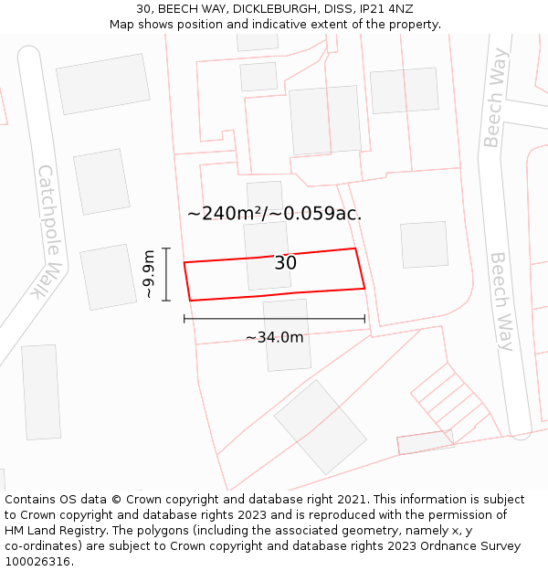 30, BEECH WAY, DICKLEBURGH, DISS, IP21 4NZ: Plot and title map