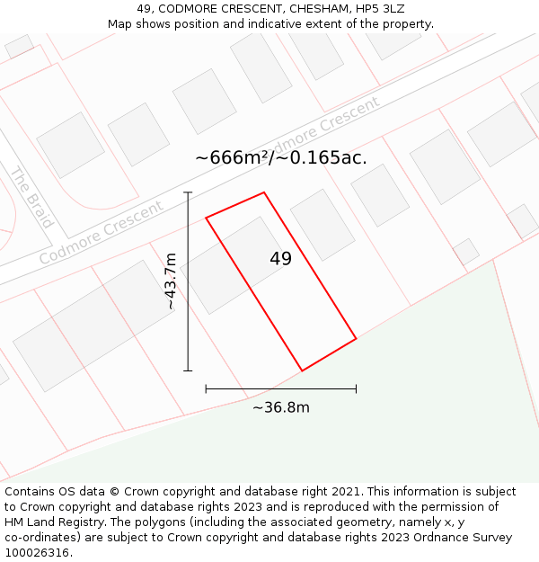 49, CODMORE CRESCENT, CHESHAM, HP5 3LZ: Plot and title map