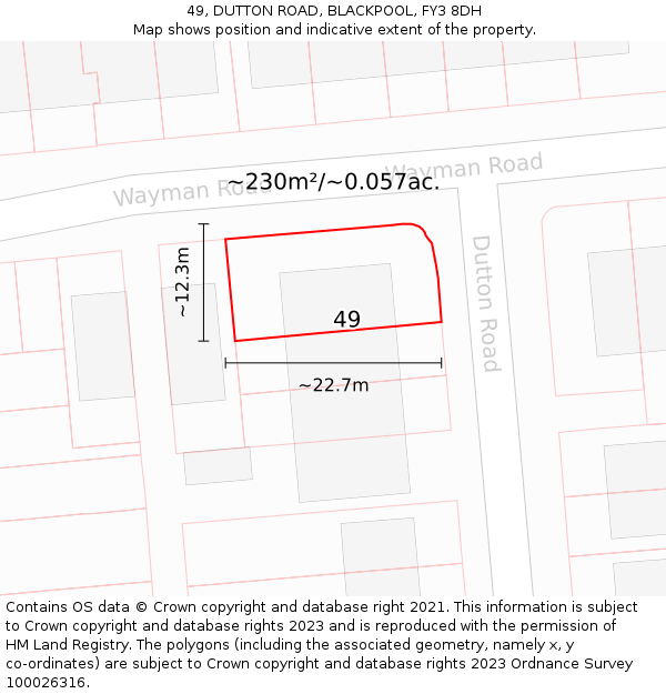49, DUTTON ROAD, BLACKPOOL, FY3 8DH: Plot and title map